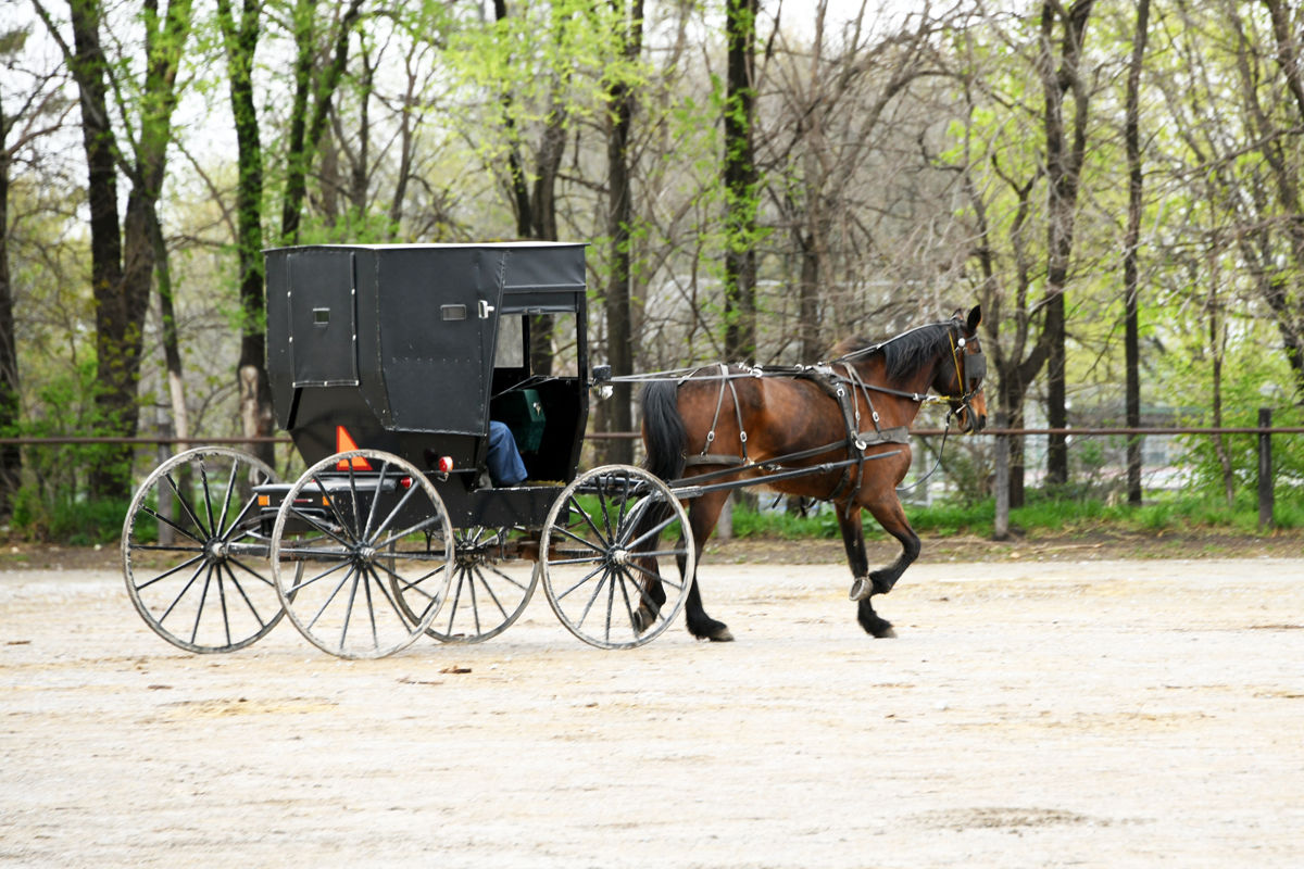 078 A horse-drawn Amish buggy is a common sight around Kalona.JPG